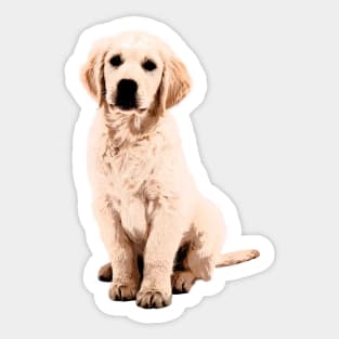 Golden Retriever Puppy Sticker